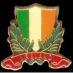 IRELAND FLAG LAUREL PIN